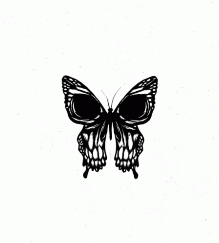 a erfly that is black and white on a paper