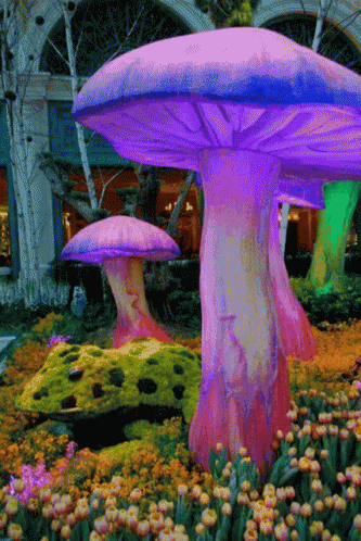 a mushroom garden in the park that looks like a forest