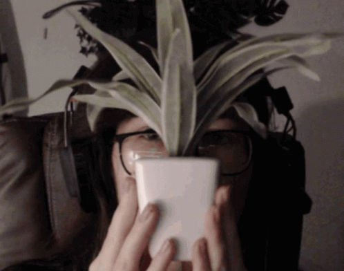 a person covering their face with their phone, a plant, and a backpack
