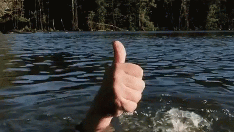 thumb up from a lake's surface in the middle of the night