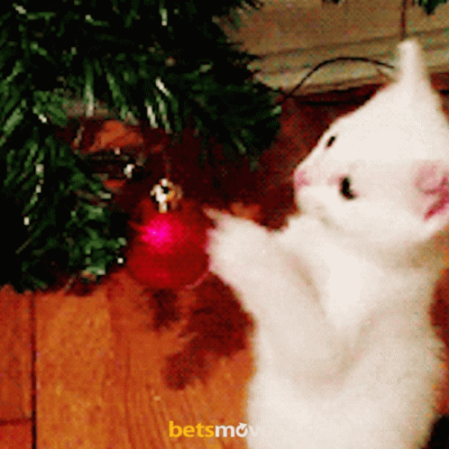 a small white rabbit on its hind legs next to a christmas tree