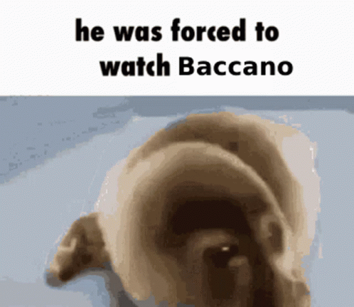 the image shows a picture of a black dog with the caption, he was forced to watch bacano