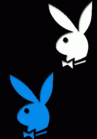 two cartoon rabbit faces flying towards each other