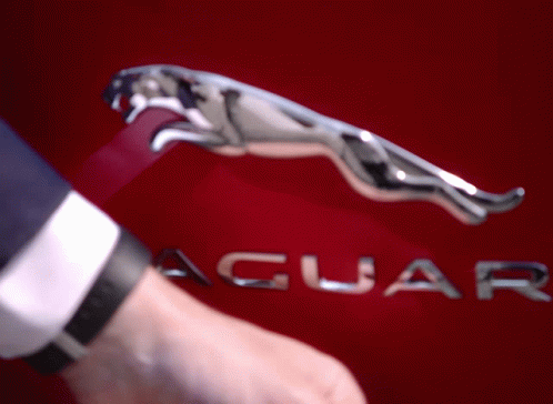 the jaguar logo on a car is visible in this file