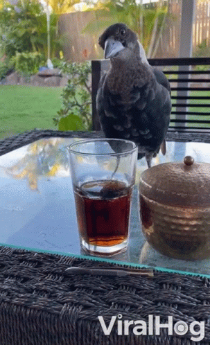 a bird sitting on top of a wooden table next to a cup