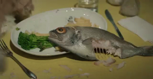 this is an image of fish in the plate