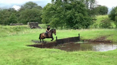 a man riding a horse across a pond
