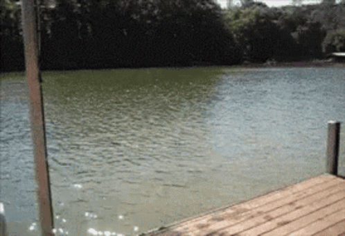a dock that is next to some water