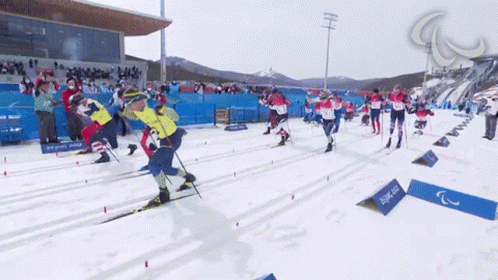 many skiers are skiing down a course lined up