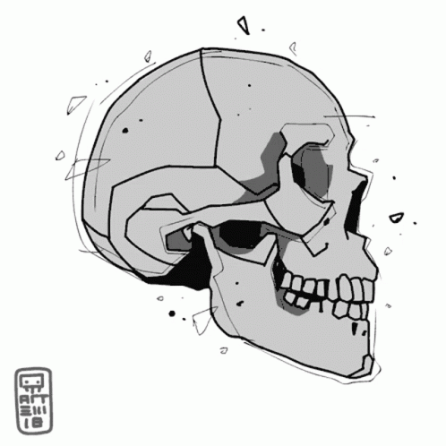a black and white skull with a very large jaw