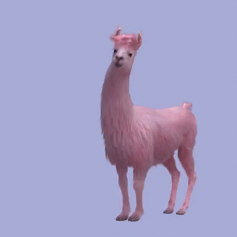 a purple alpaca with white markings standing