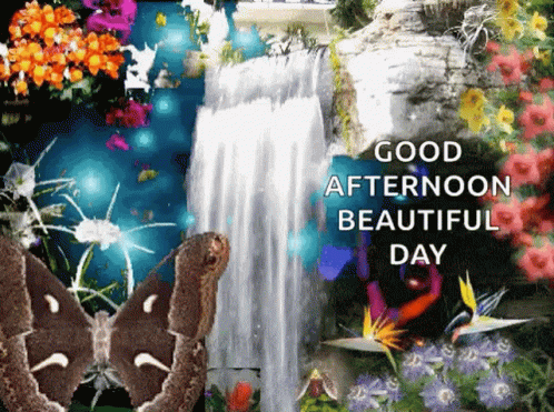 some flowers, a waterfall, and the words good afternoon beautiful day