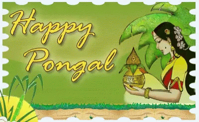 happy pongal pictures, images, and greetings