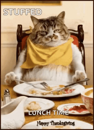 a cat sitting at a table with a plate and knife