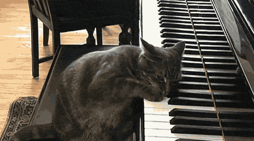 a cat sitting next to an piano