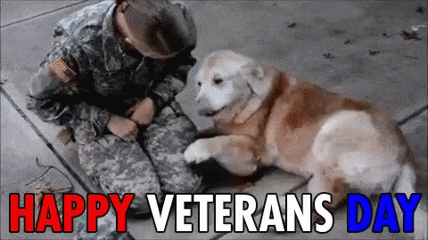 a happy veterans day card with a po of puppies