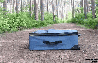 an old brown suitcase sitting on the ground in a forest