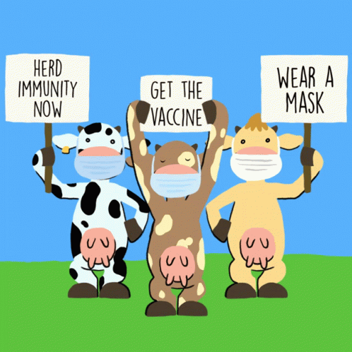 three cartoon cows holding signs on a sunny day