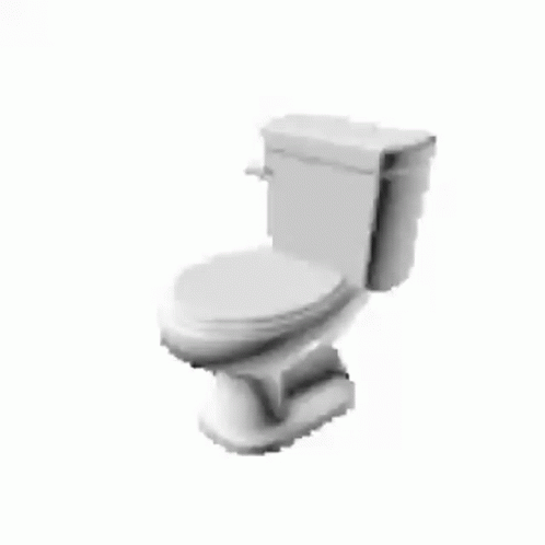 an image of a toilet with its lid open