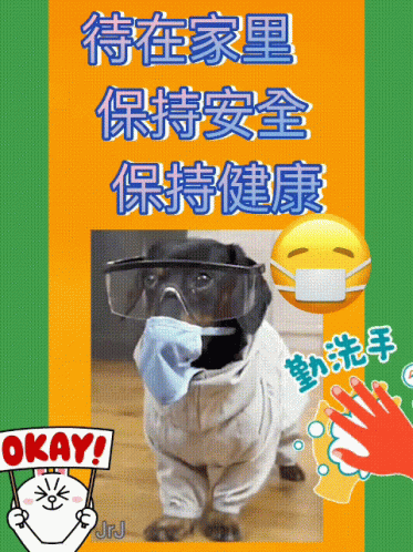a poster with a dog wearing a face mask
