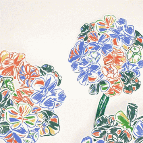 a drawing of two colorful flowers with white background