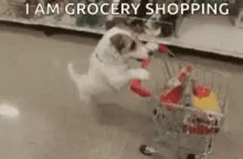 an animal in a shopping cart trying to get a grocery bag