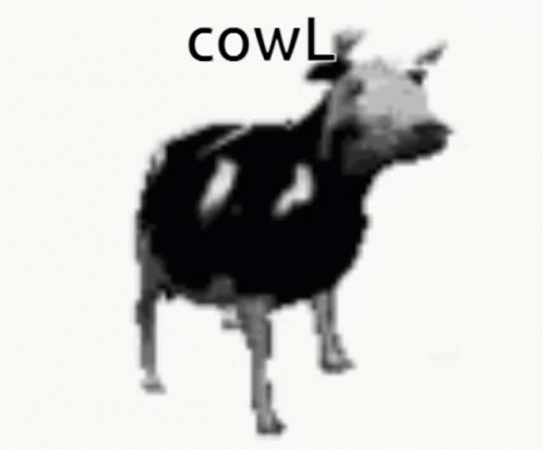 a cow with no head stands up in a black and white pograph