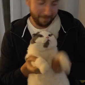 a man holds a small cat in front of his face