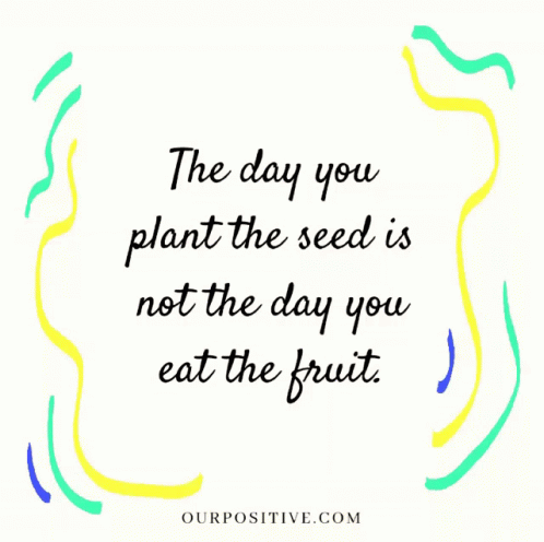 a quote that says, the day you plant the seed is not the day you eat the fruit