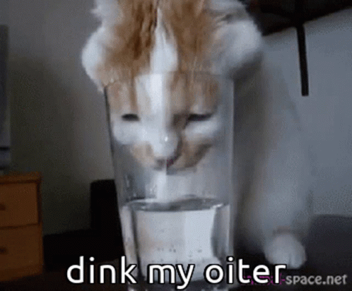 a cat that is drinking out of a glass