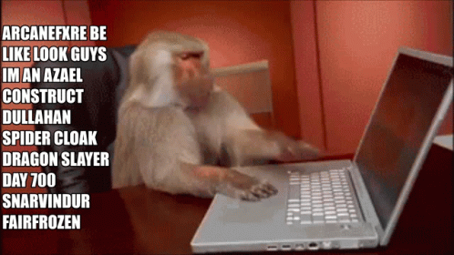 a monkey is sitting by an open laptop