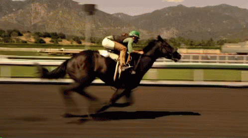 jockey on black horse going down track near mountains