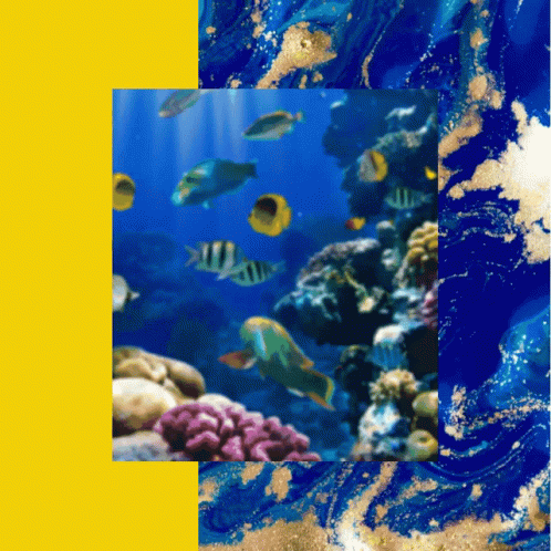 three squares of color with various underwater images
