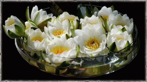 white and blue flowers in a glass bowl