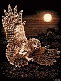 an owl flying in the air with its wings spread