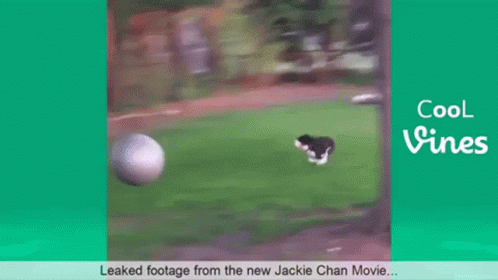 a blurry image of a dog running after a ball