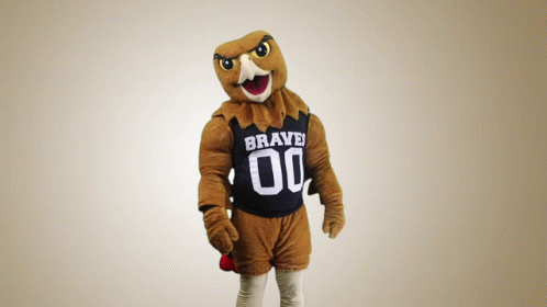 the mascot is dressed in his costume for football