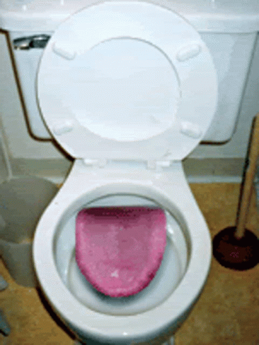 a toilet with purple toilet paper and cleaning brushes next to it