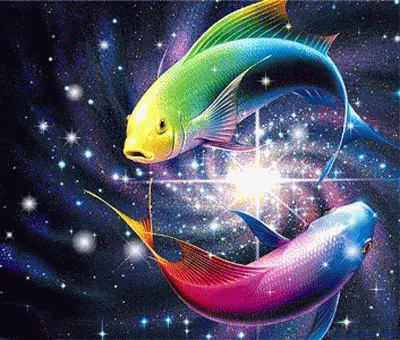 the image shows two colorful fish in space