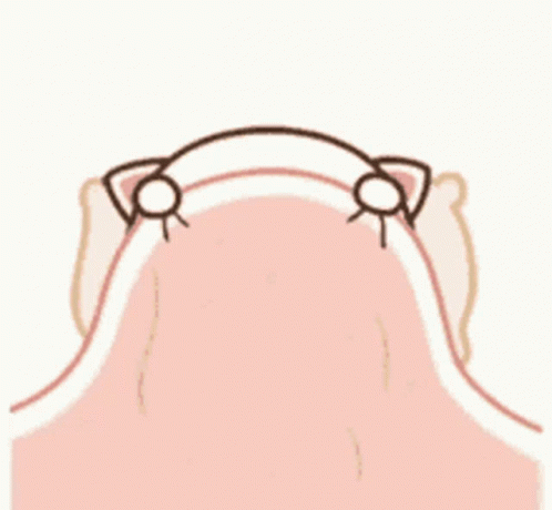 an animated drawing of a cat with its eyes closed