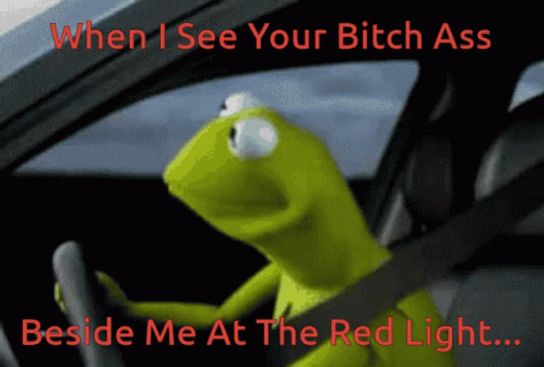 the muppet driving in his car with someone who thinks he's a red light