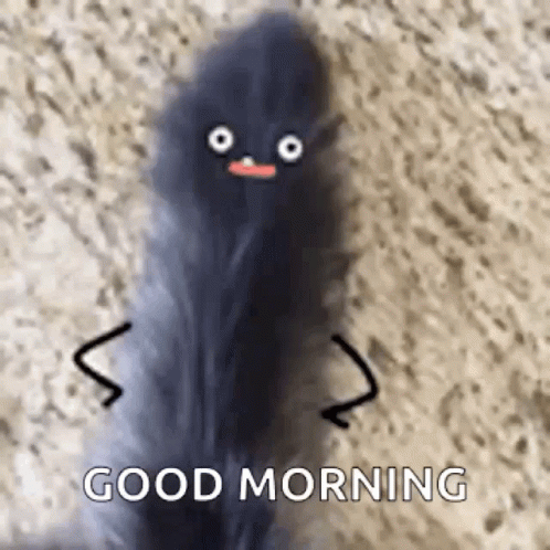 a strange looking thing that is saying good morning