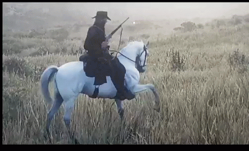 a man on a horse that is walking through some grass