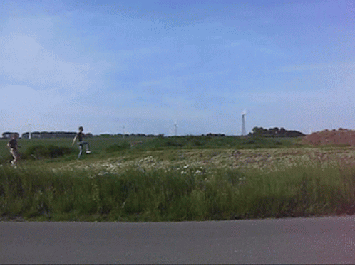 people fly kites in a field with green grass