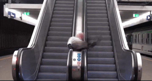 an empty escalator with an overcrowed escalator behind it