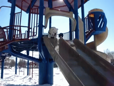 a large metal slide is in the snow