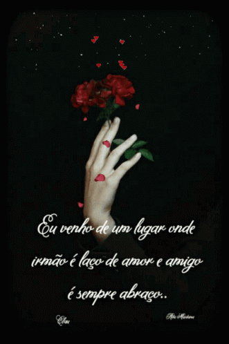 two hands are holding a flower with dark background