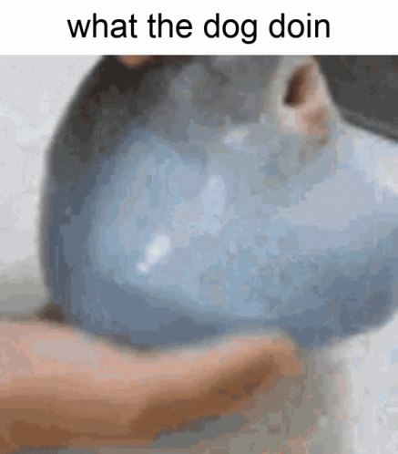 a blue hand with a nose in it is touching a white dog