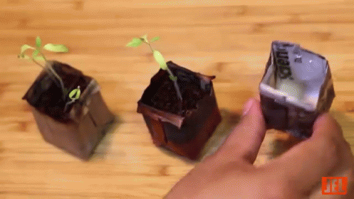a hand is touching a flower in small pots