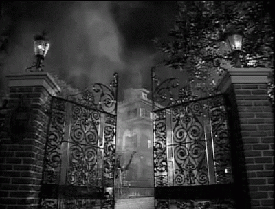 a black and white pograph of two iron gates